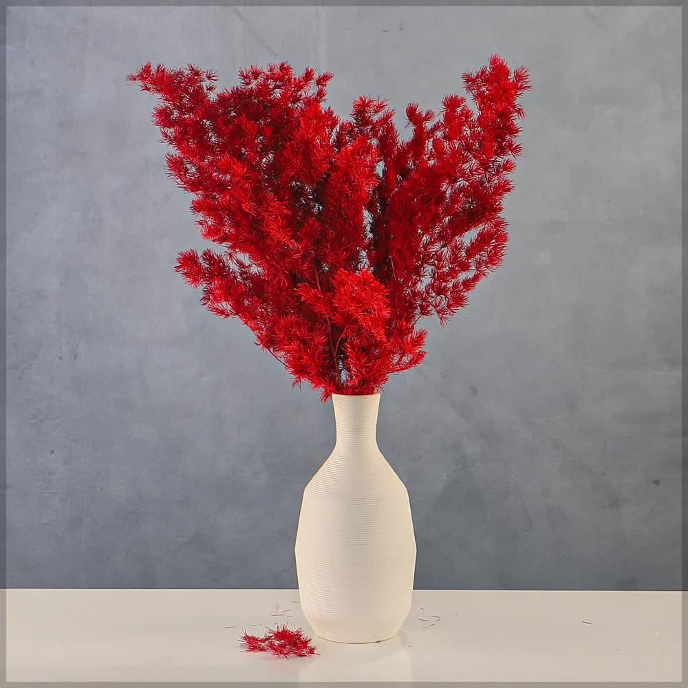 Natural Dried Fern Branch(without vase) - Image 14