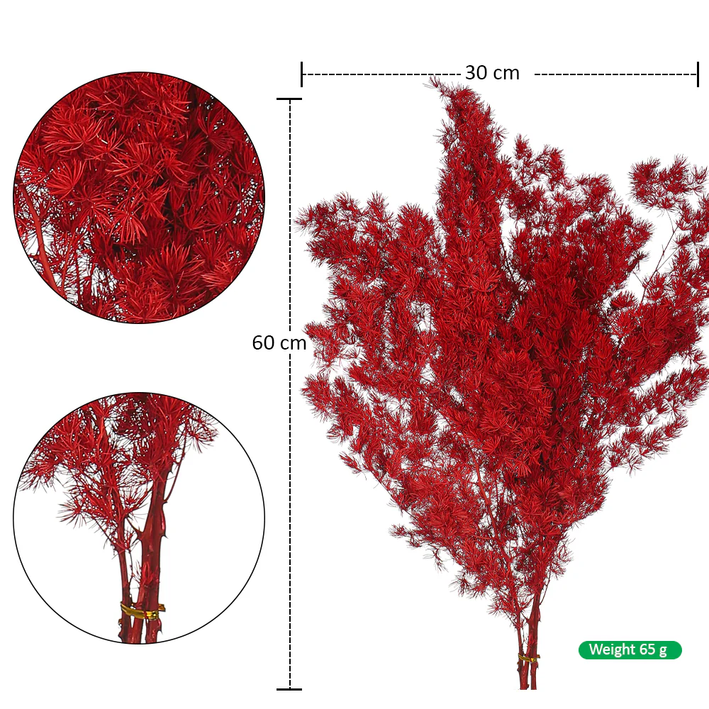 Natural Dried Fern Branch(without vase) - Image 15