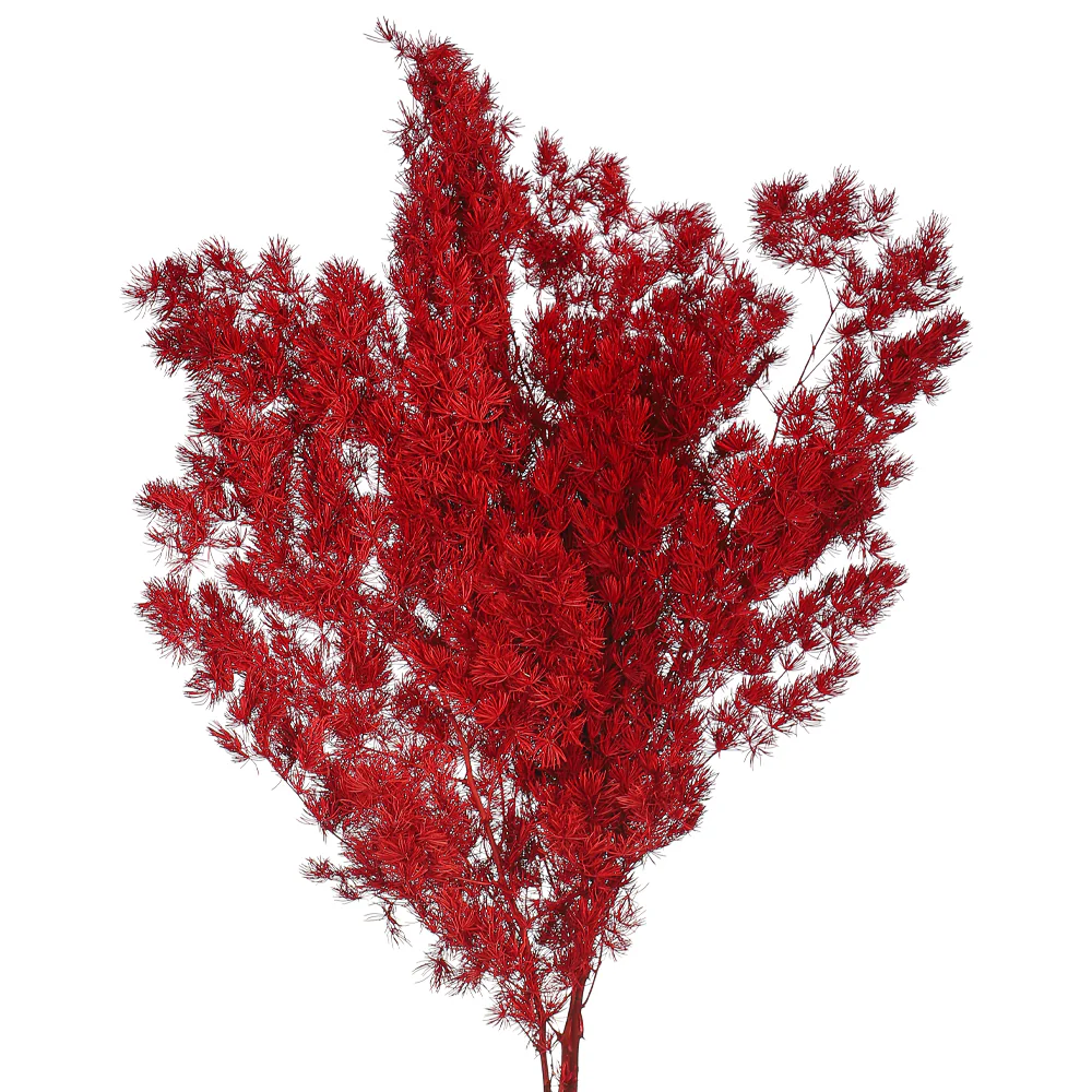 Natural Dried Fern Branch(without vase) - Image 17