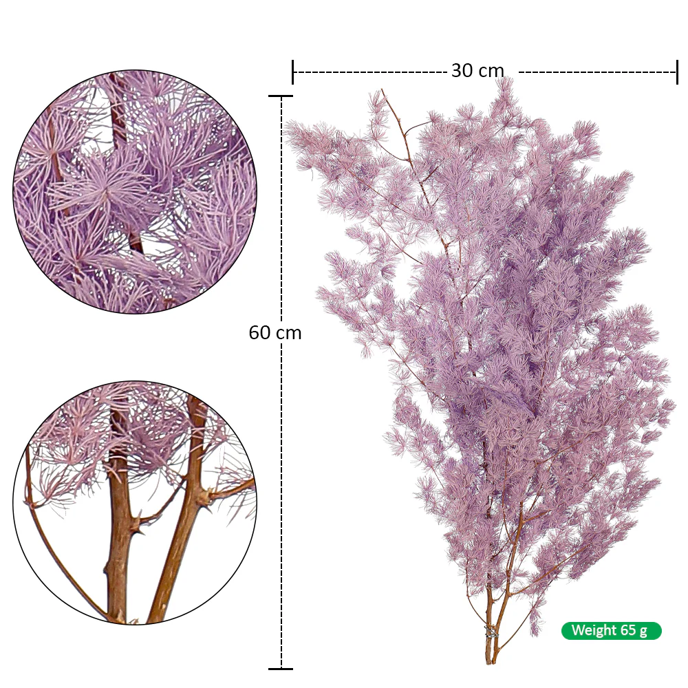 Natural Dried Fern Branch(without vase) - Image 6