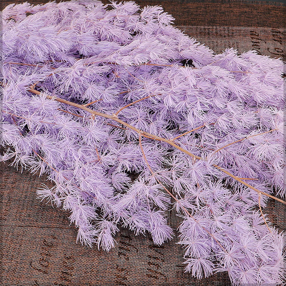 Natural Dried Fern Branch(without vase) - Image 7
