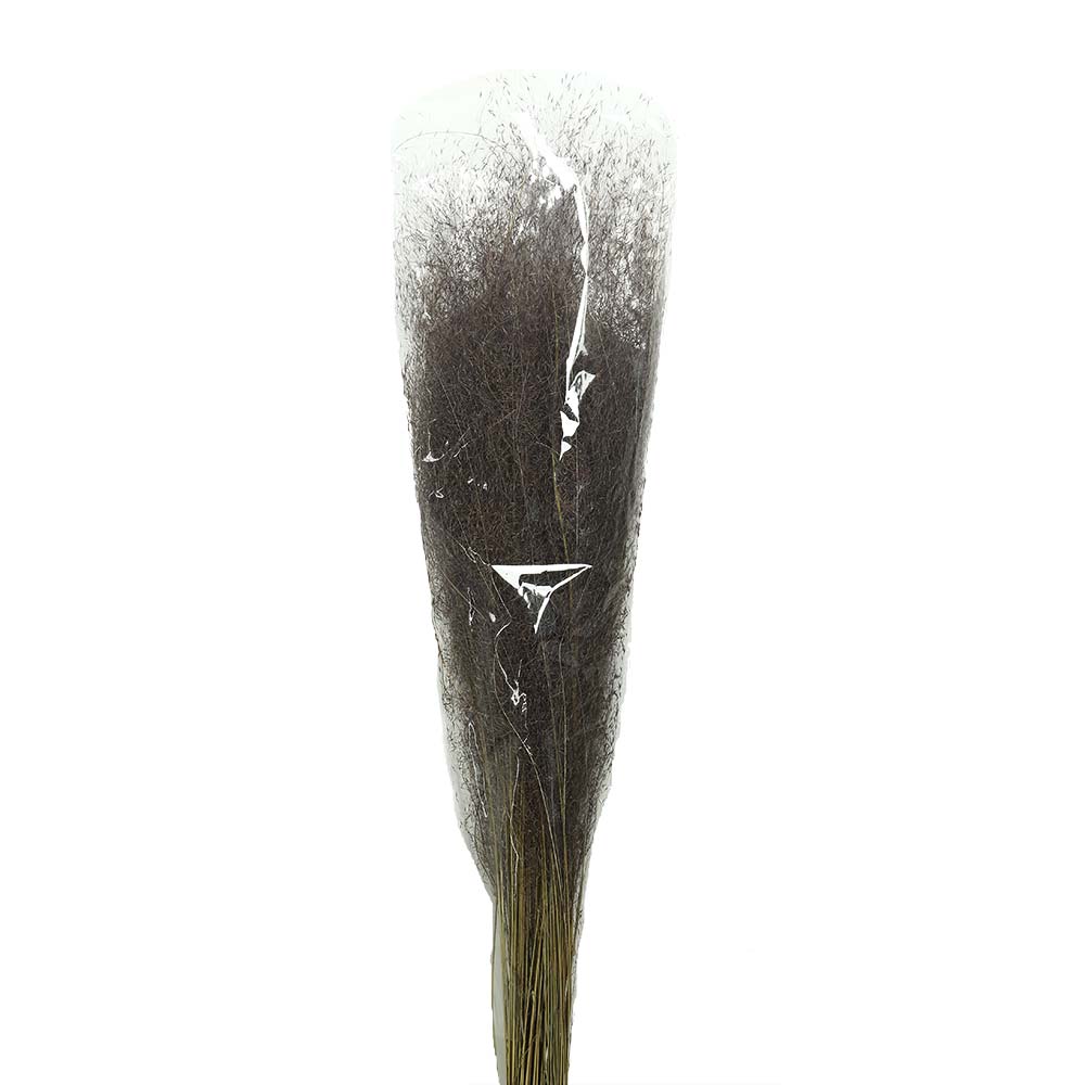 Natural Dried Grass(without vase) - Image 10