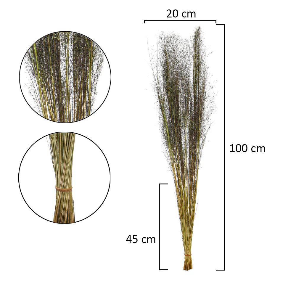 Natural Dried Grass(without vase) - Image 12
