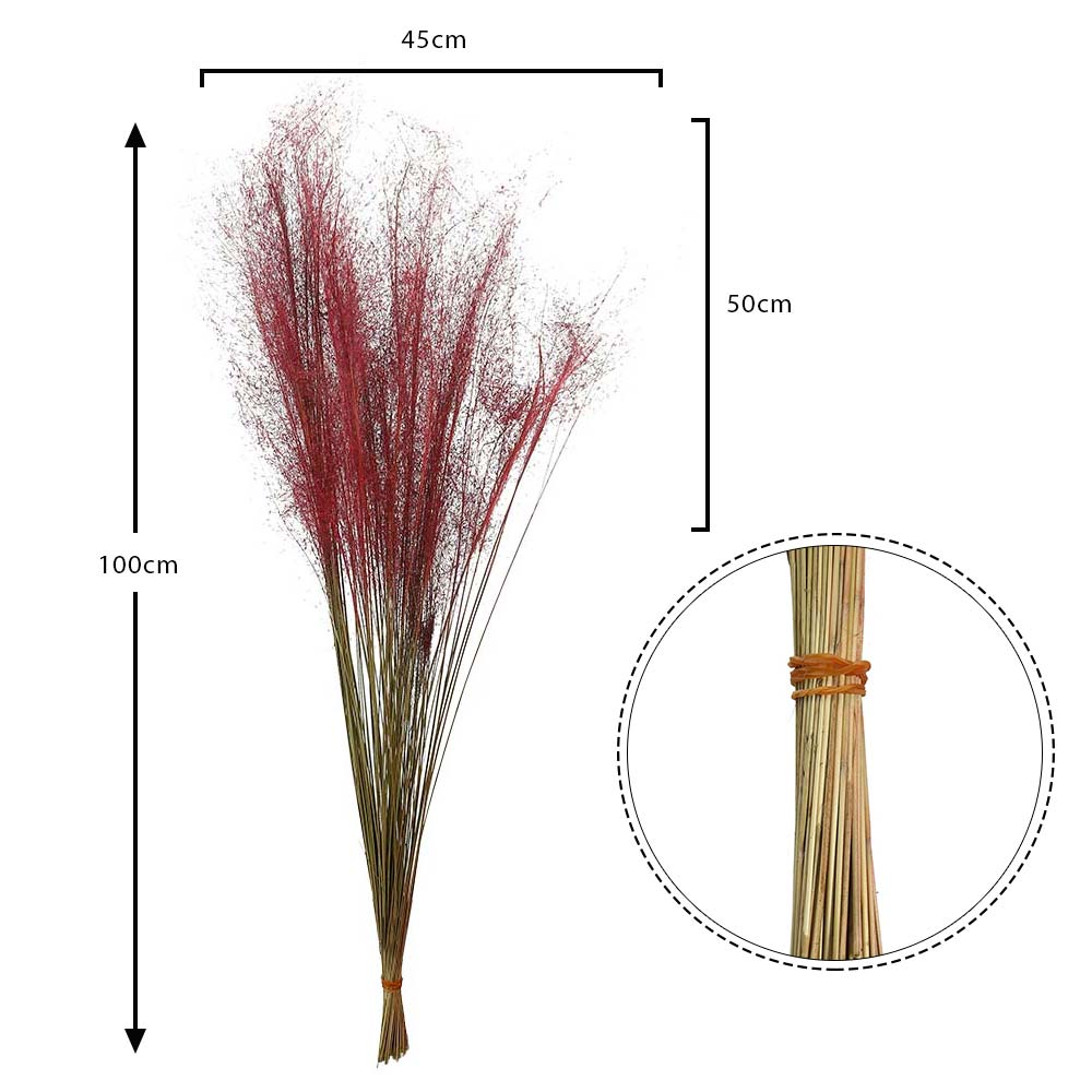 Natural Dried Grass(without vase) - Image 2
