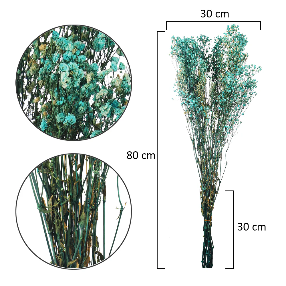 Natural Dried Gypsophila Flowers(without vase) - Image 5
