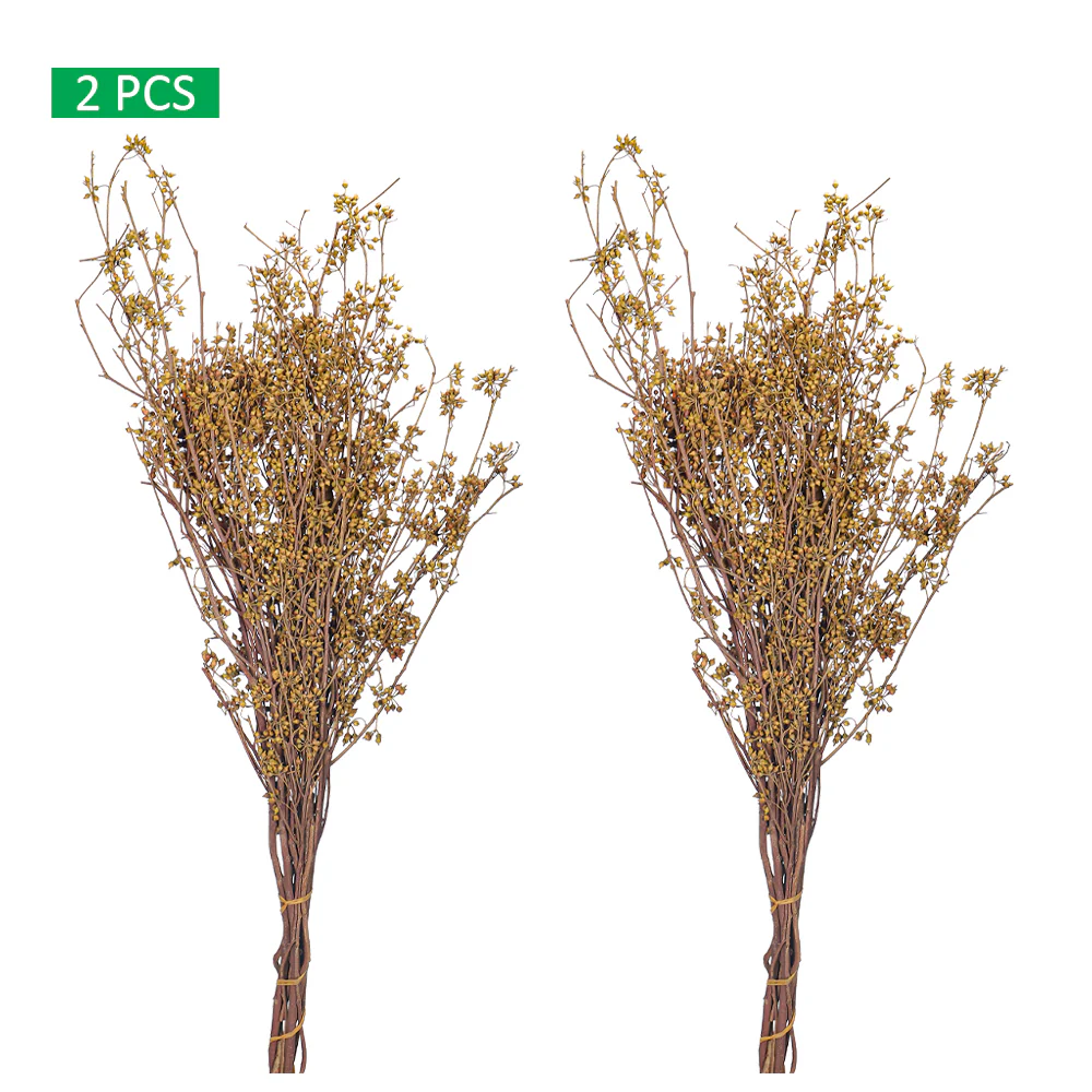 Natural Dried Preserved Millet Flower Bunch(without vase) - Image 4