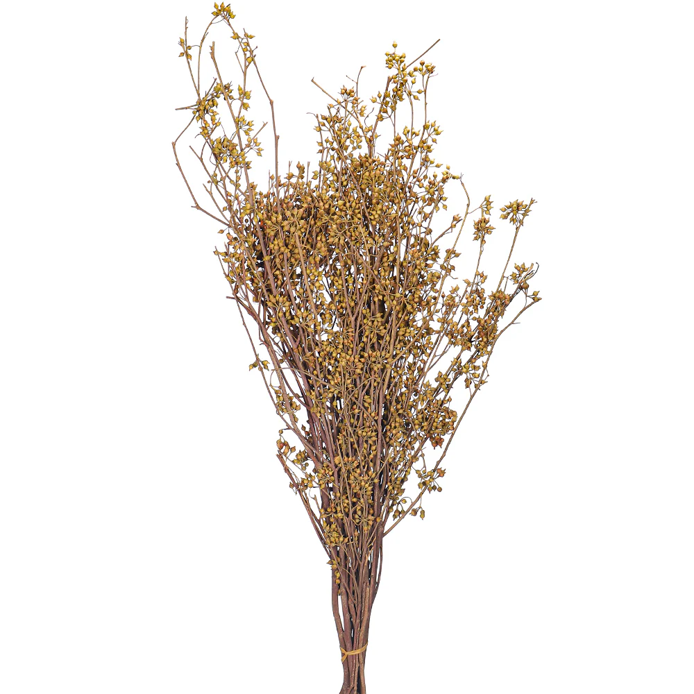 Natural Dried Preserved Millet Flower Bunch(without vase) - Image 5