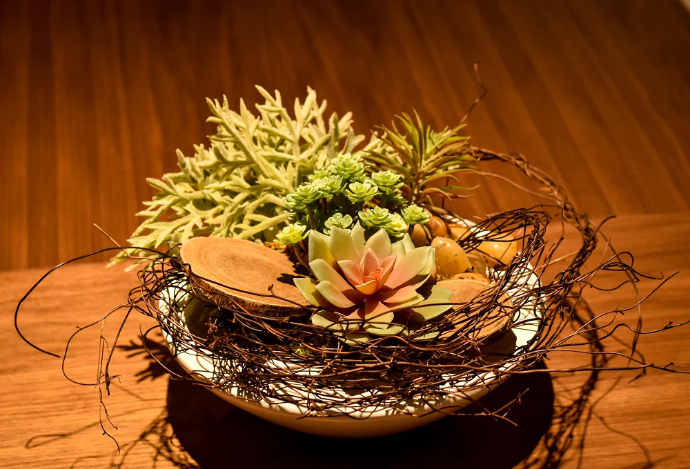 Natural Dried Rattan Stick Brown - Image 3