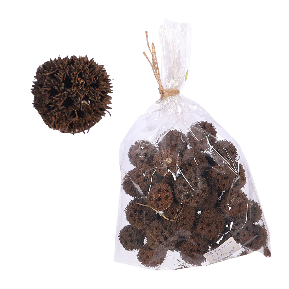 Natural Dried Spiky Seed Pods - Image 2