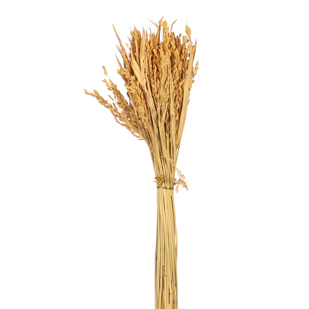 Natural Dried Wheat Stalks - Image 3