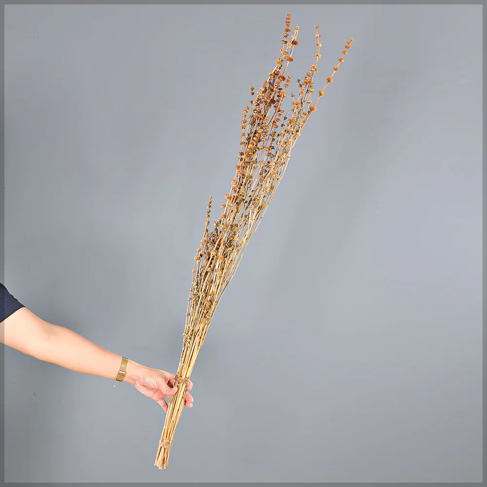 Natural Dried Wildflower Stem Bundle
