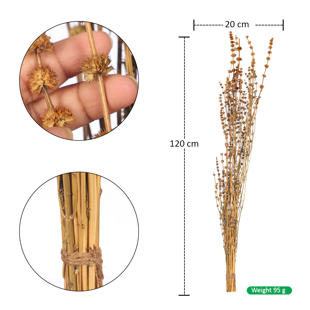 Natural Dried Wildflower Stem Bundle - Image 2