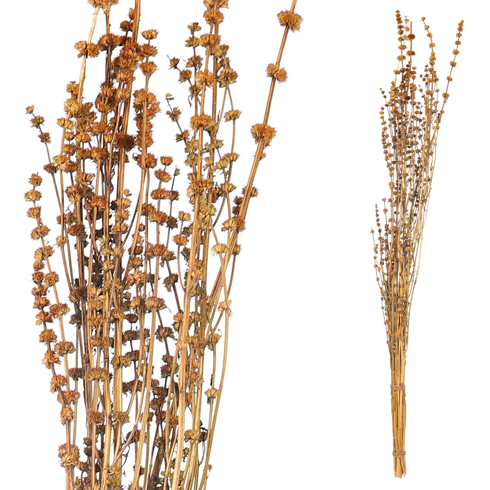 Natural Dried Wildflower Stem Bundle - Image 3