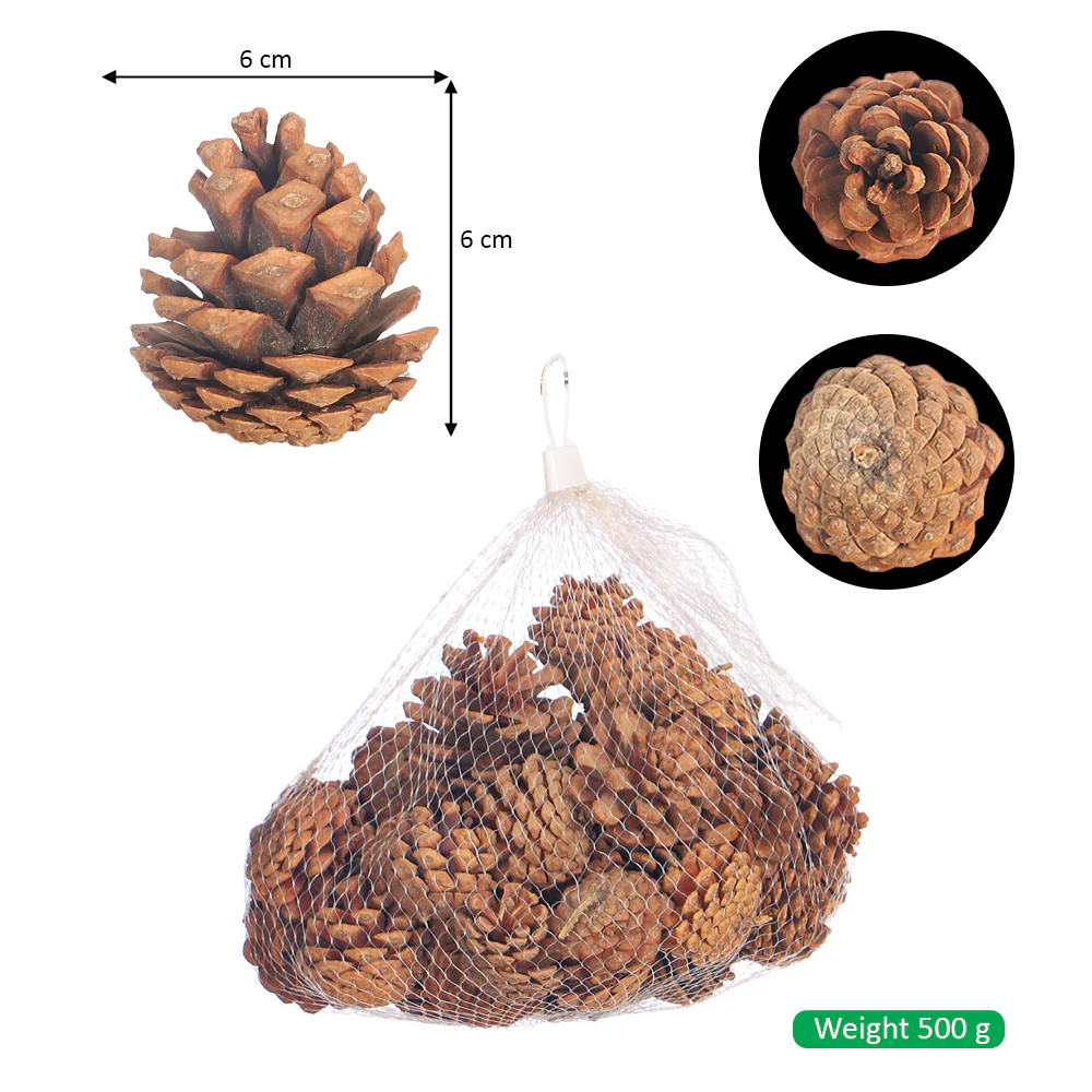 Natural Pine Cones - Image 2