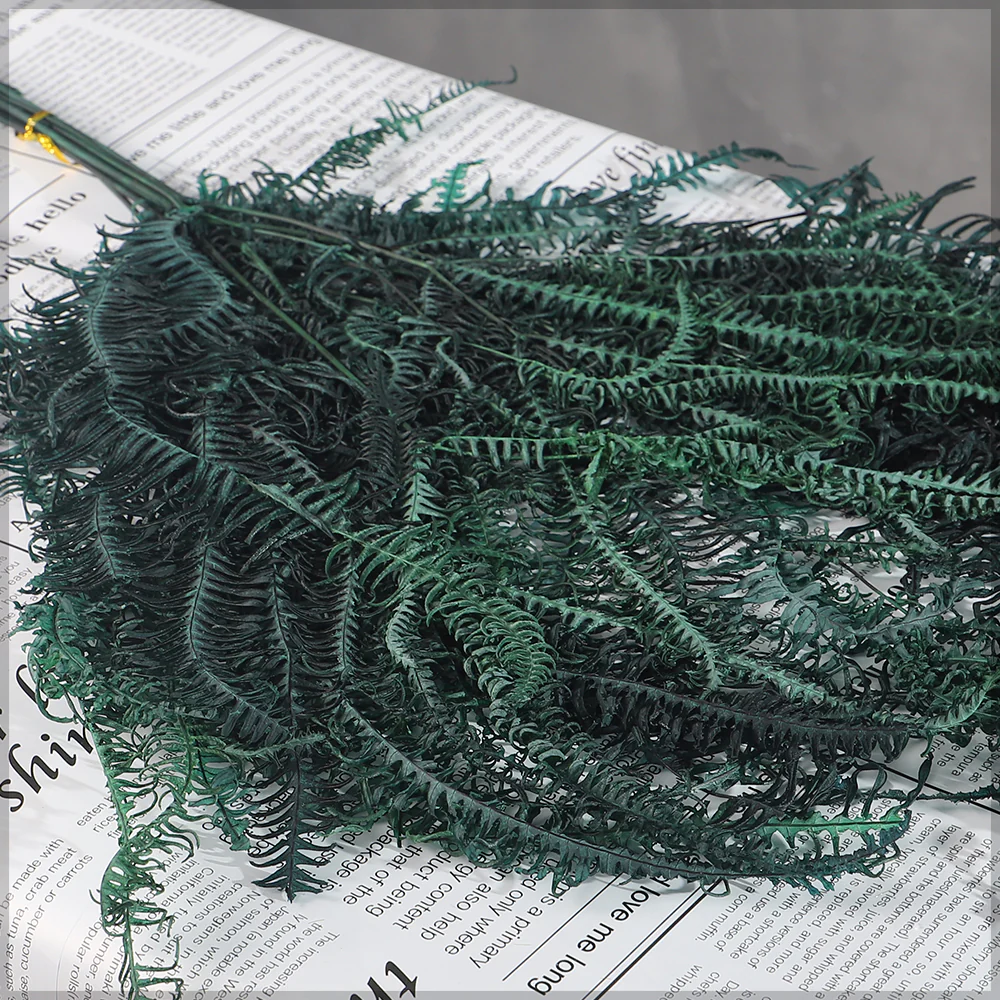 Natural Preserved Dried Fern Leaves
