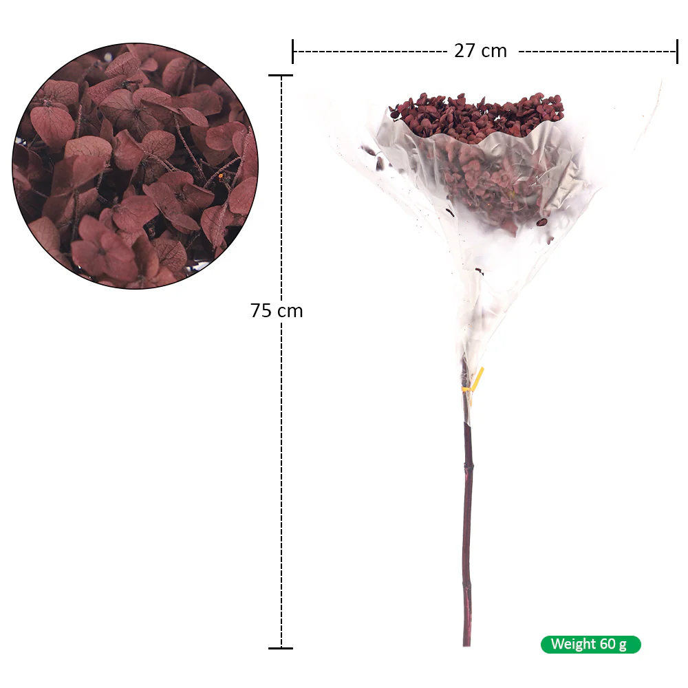 Natural Preserved Dried Hydrangea Flower - Image 5