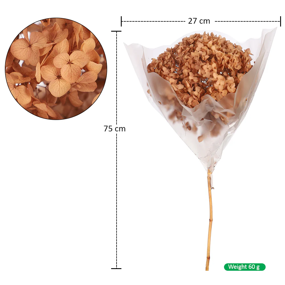Natural Preserved Dried Hydrangea Flower - Image 8