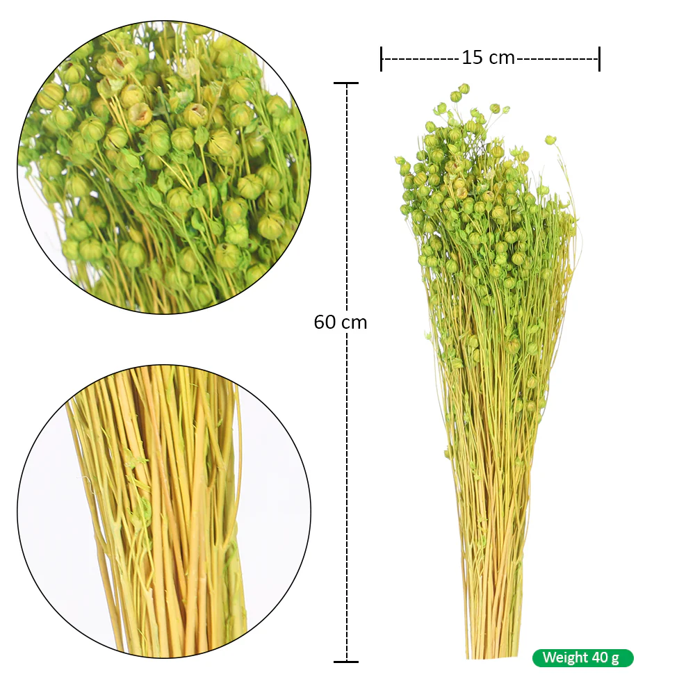 Naturally Dried Linum Grass - Image 2