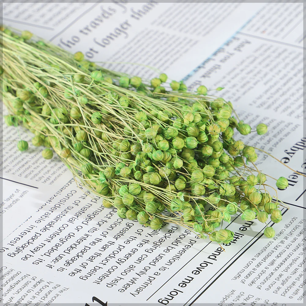 Naturally Dried Linum Grass - Image 4