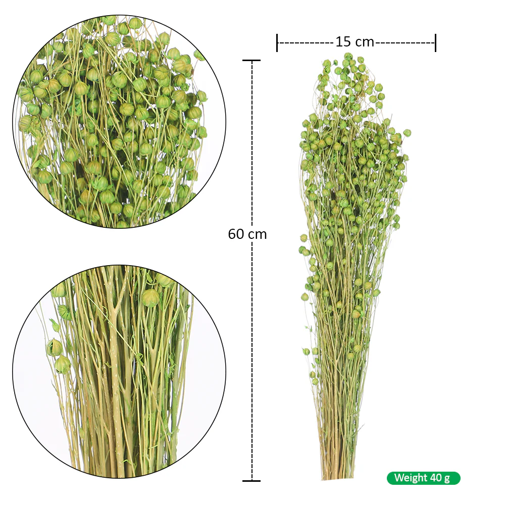 Naturally Dried Linum Grass - Image 5