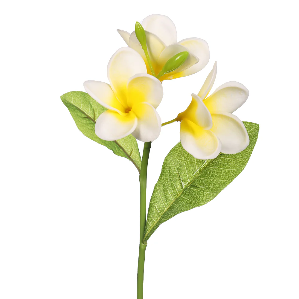 Nearly Natural Plumeria Single Stem Flower (without vase) - Image 8