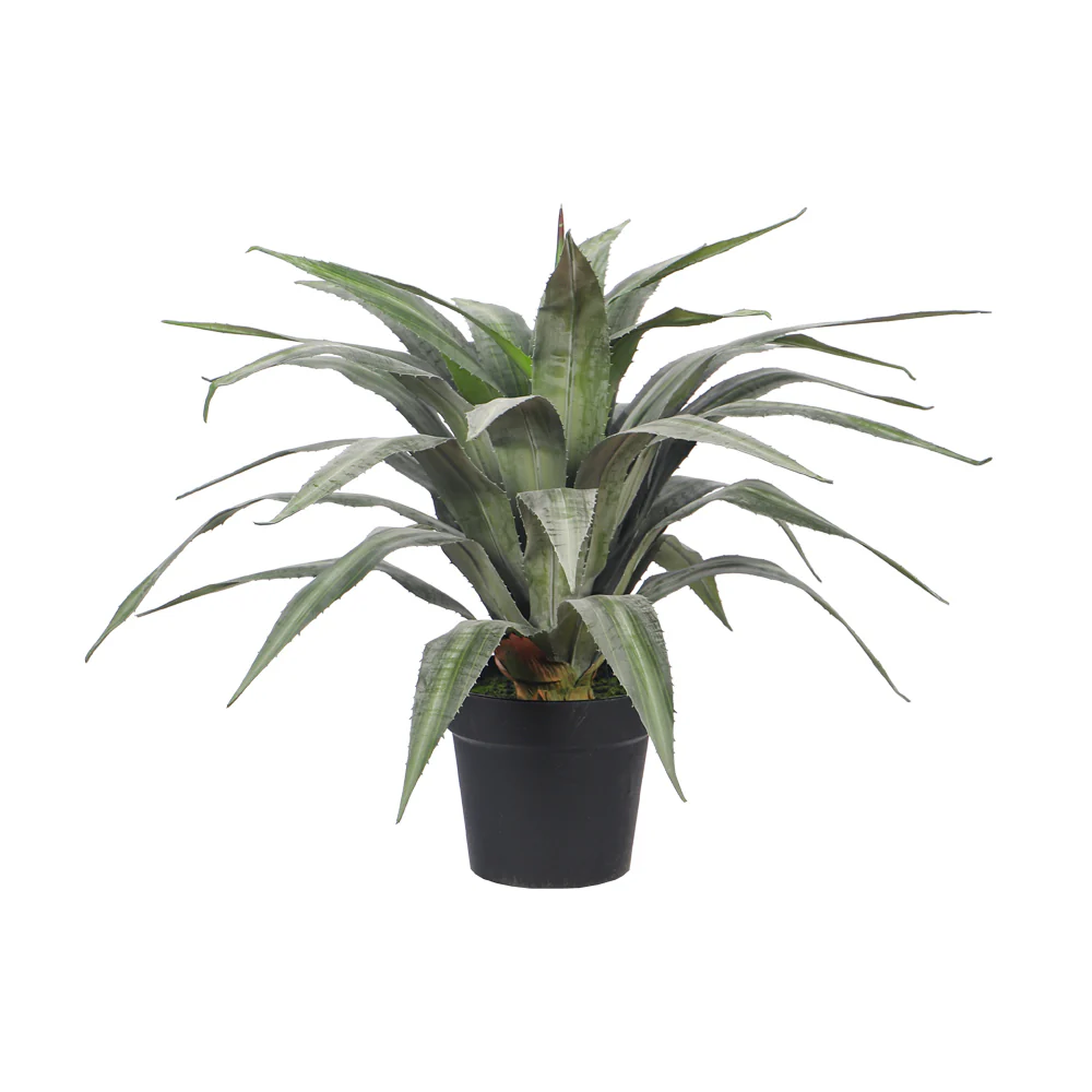 Nearly Natural Agave Plant(with black nursery pot) - Image 6