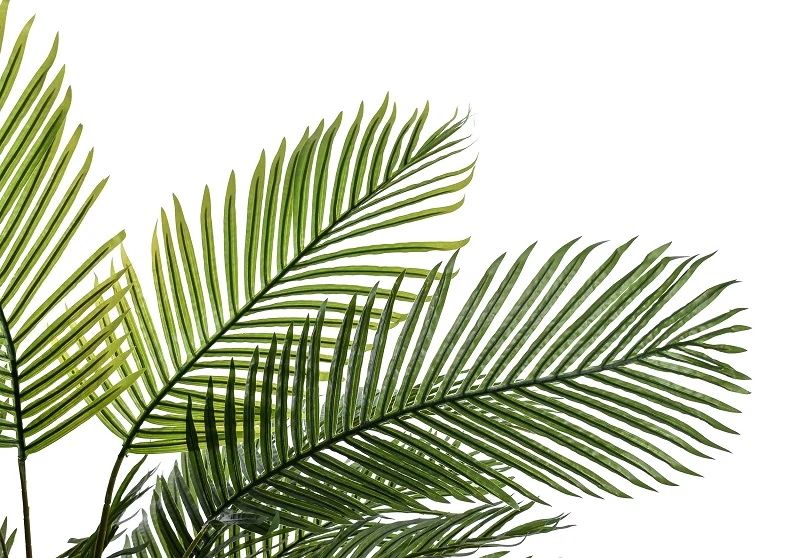 Nearly Natural Artificial Bamboo Palm Tree 2.1 Meter High - Image 3