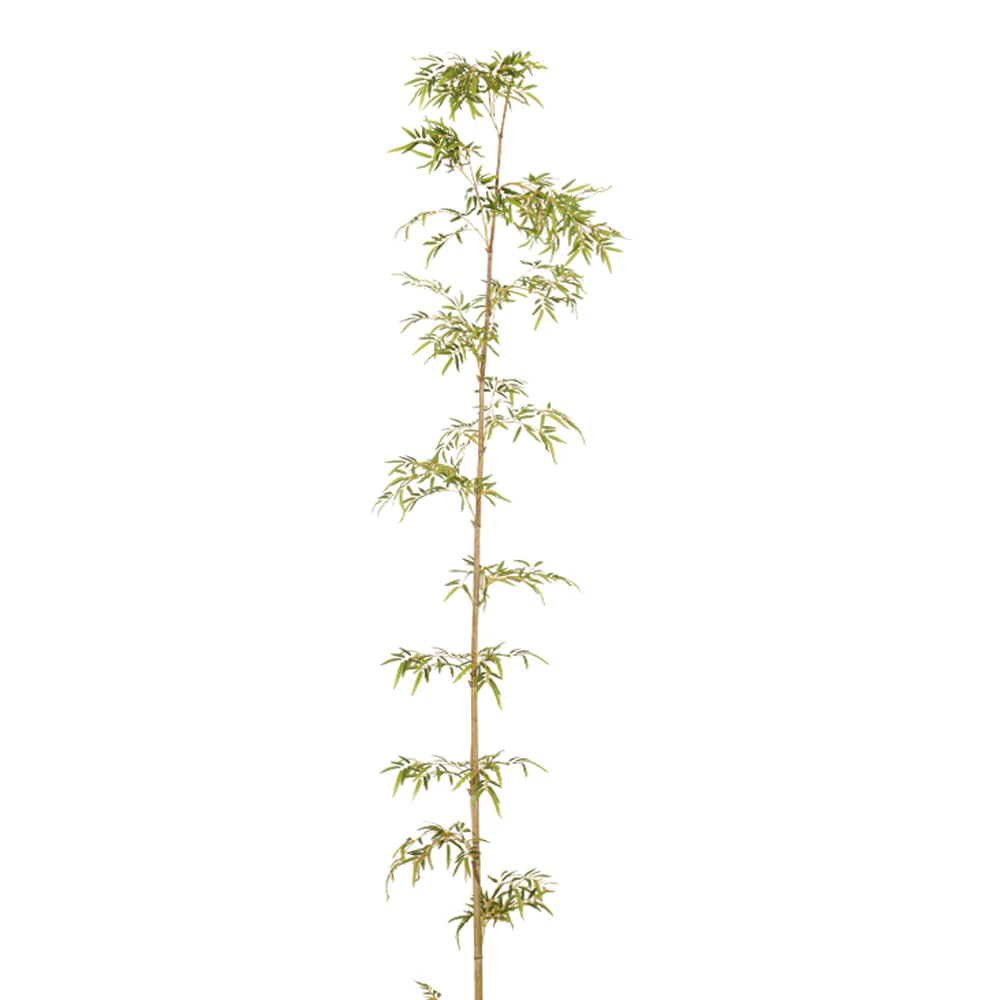 Nearly Natural Bamboo Stems(without pot) - Image 11
