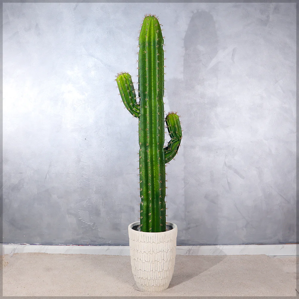 Nearly Natural Decorative Finger Cactus Plant(with black nursery pot) - Image 5
