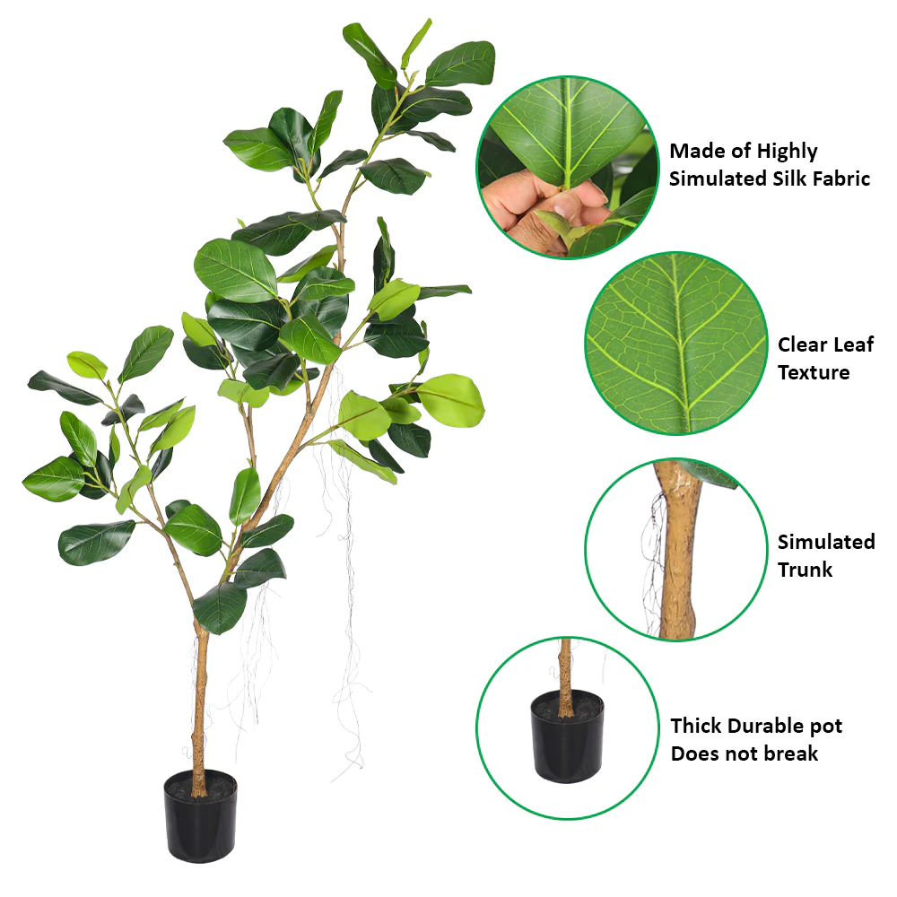 Nearly Natural Fiddle Plant 2m High(with black nursery pot) - Image 4
