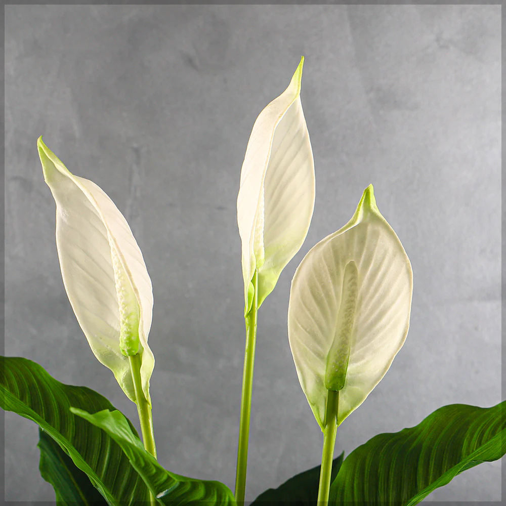 Nearly Natural White Calla Plant - Image 6
