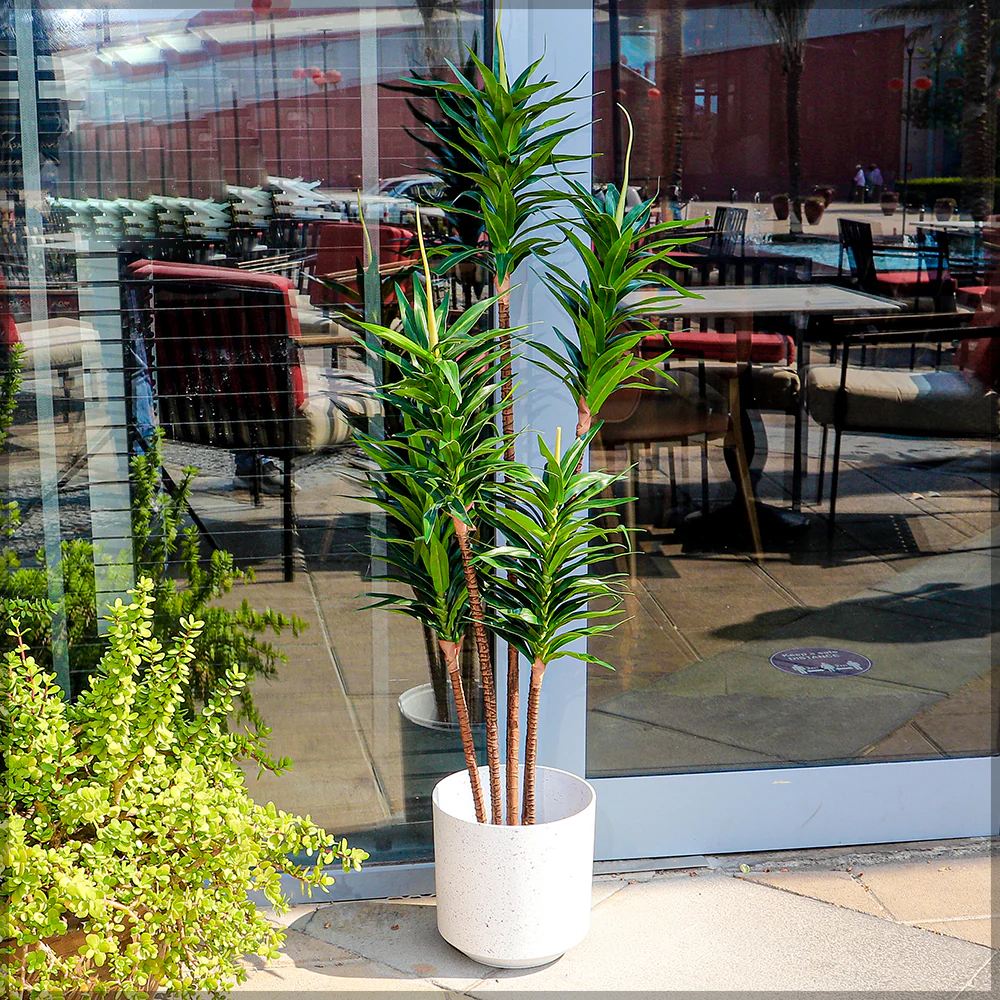 New White Round Plastic Planter Pots - Image 6