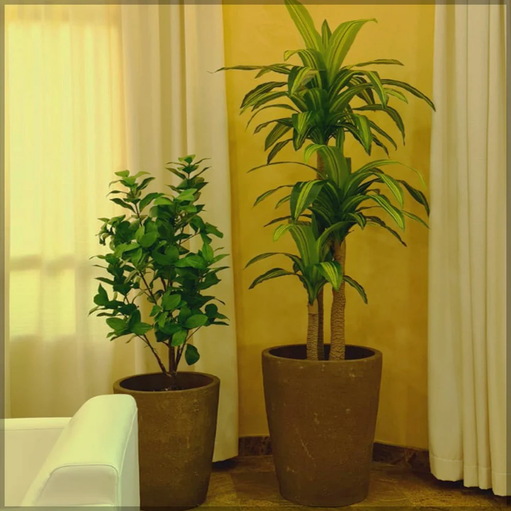 Office Artificial Plants Arrangement and Decoration for display purposes only (non-sale) - Image 3