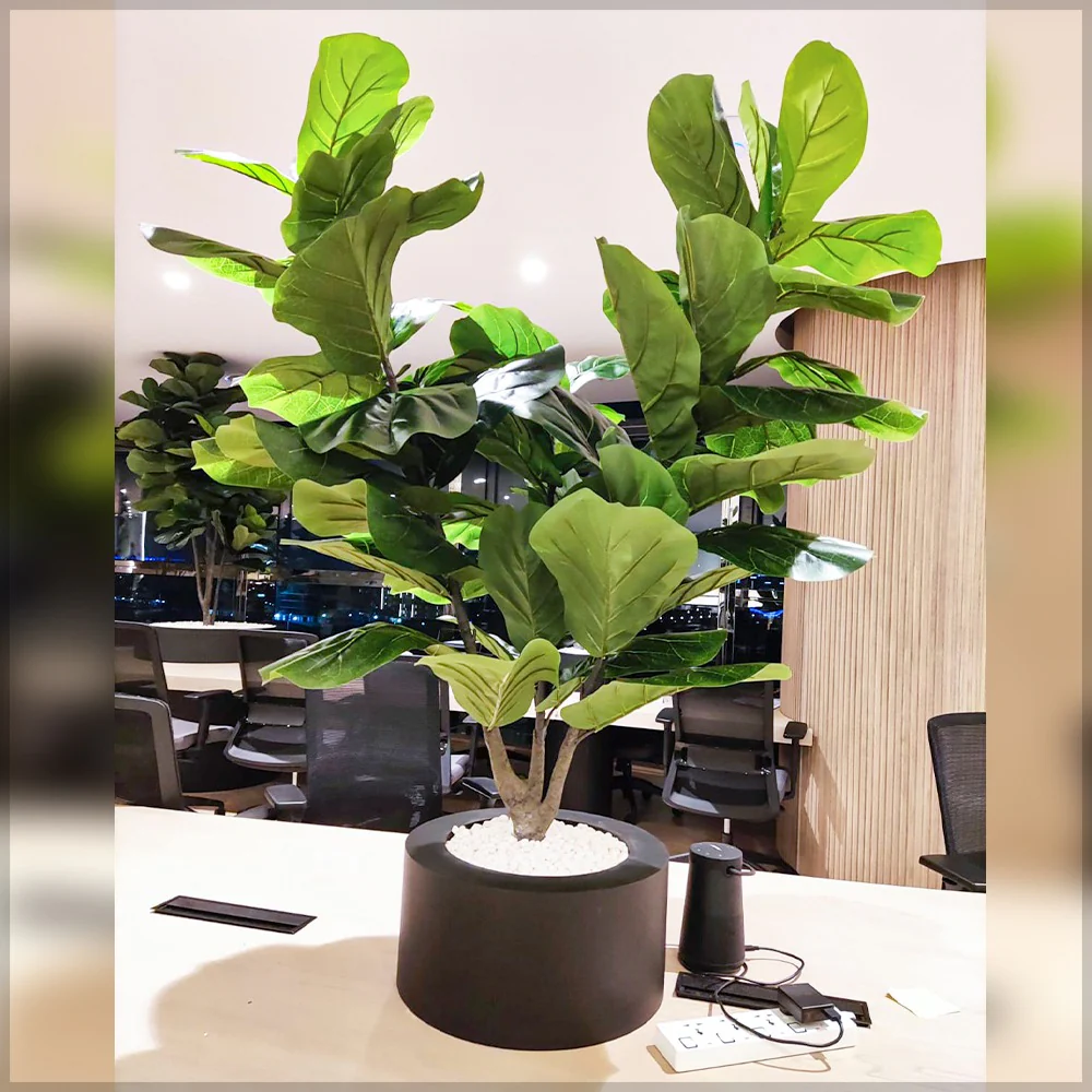 Office Artificial Plants Decoration for display purposes only (non-sale) - Image 3