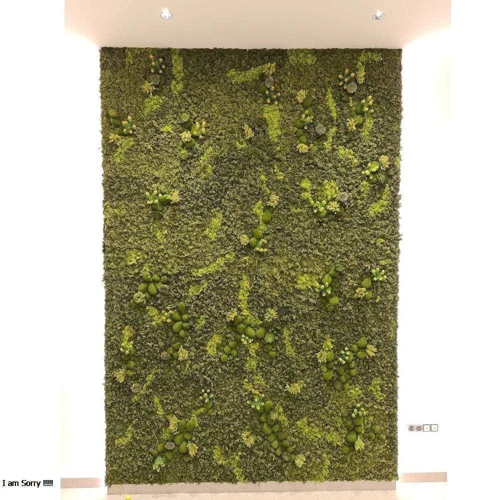Office Fresh Moss Wall Arrangement for display purposes only (non-sale) - Image 3