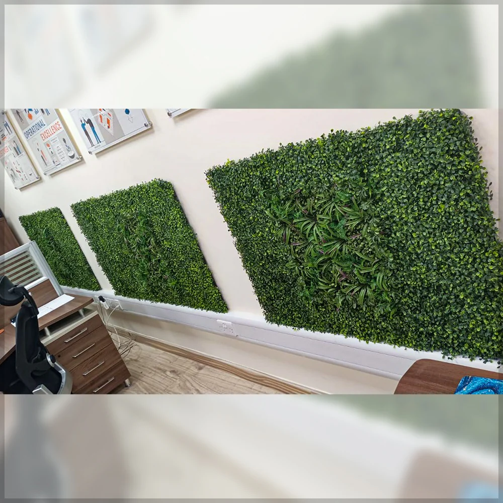 Office Green Wall Decoration for display purposes only (non-sale) - Image 2