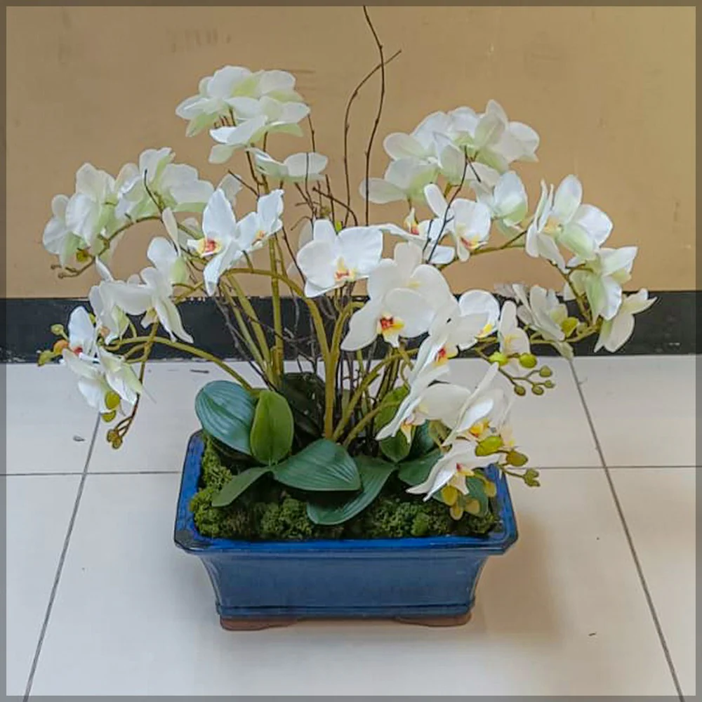 Orchid Flower Arrangements