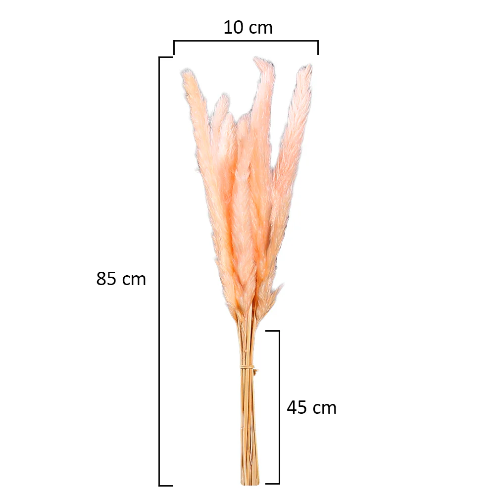 Dried Pampas Grass(without vase) - Image 5