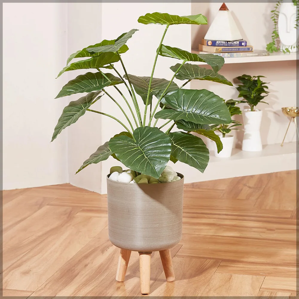 Plastic Plant Pots with Legs - Image 3