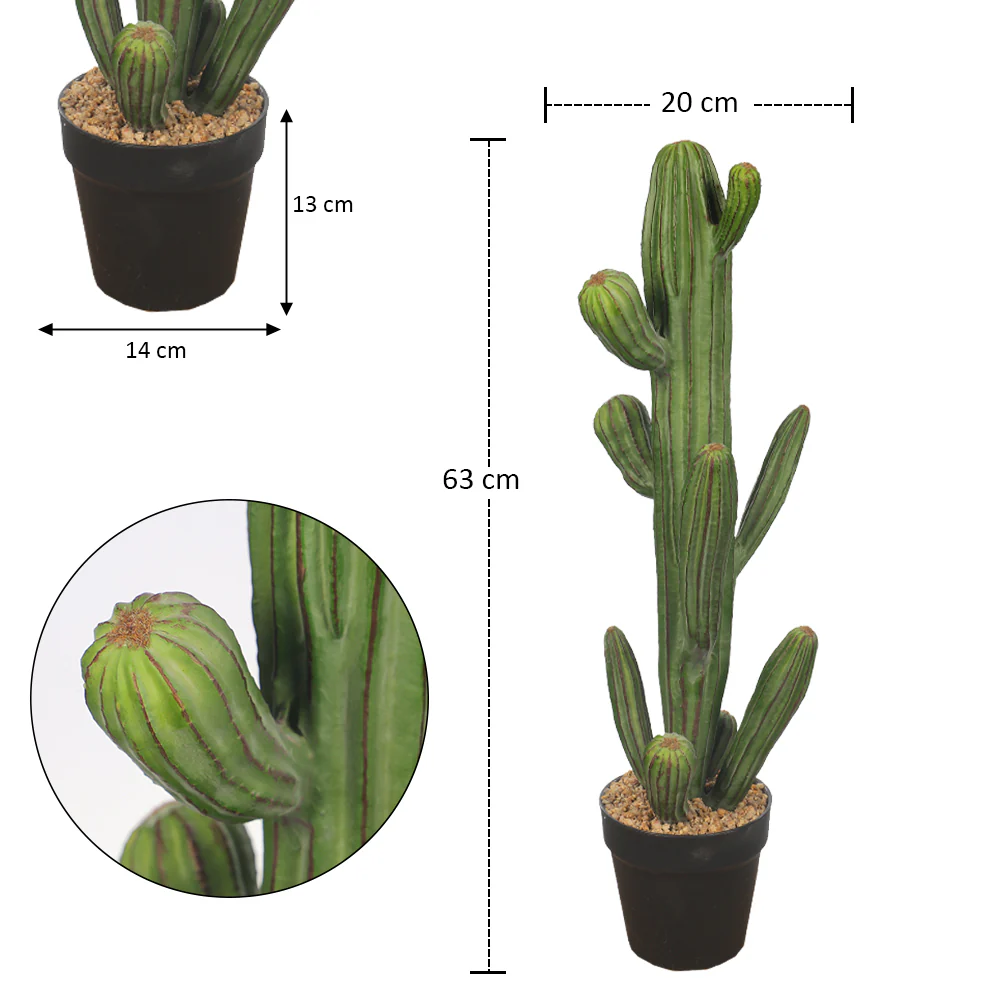Potted Small Size Saguaro Cactus Plant - Image 3