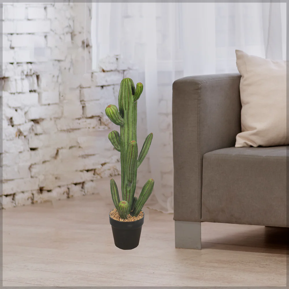 Potted Small Size Saguaro Cactus Plant - Image 5