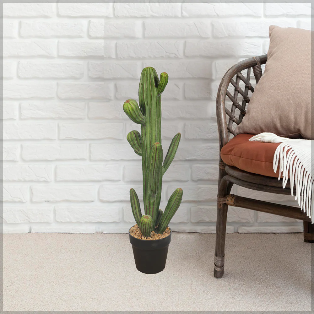 Potted Small Size Saguaro Cactus Plant - Image 6
