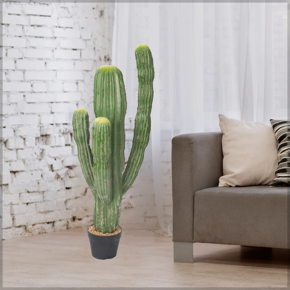 Potted Small Size Saguaro Cactus Plant - Image 7