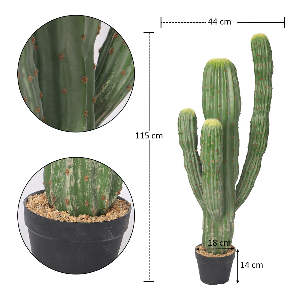 Potted Small Size Saguaro Cactus Plant - Image 8