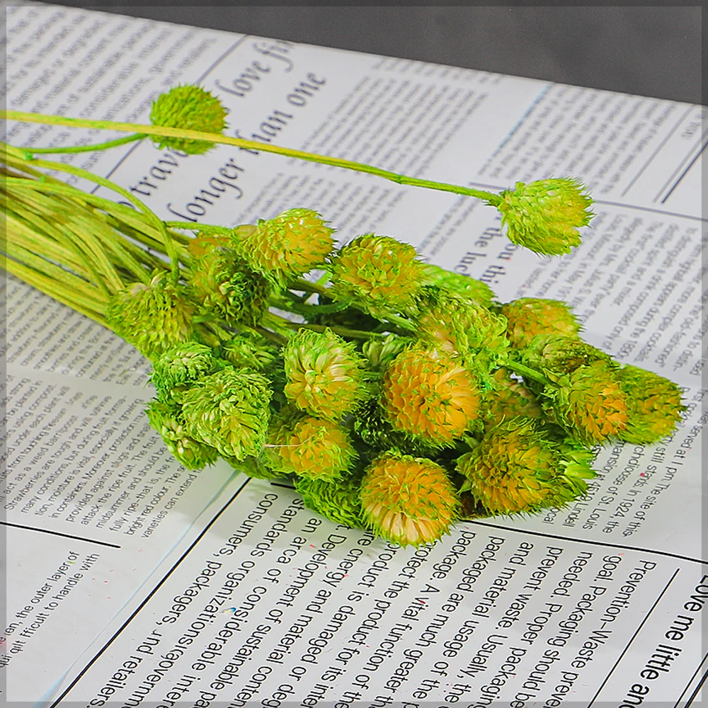 Preserved Dried Bunch of Globe Amaranth - Image 10
