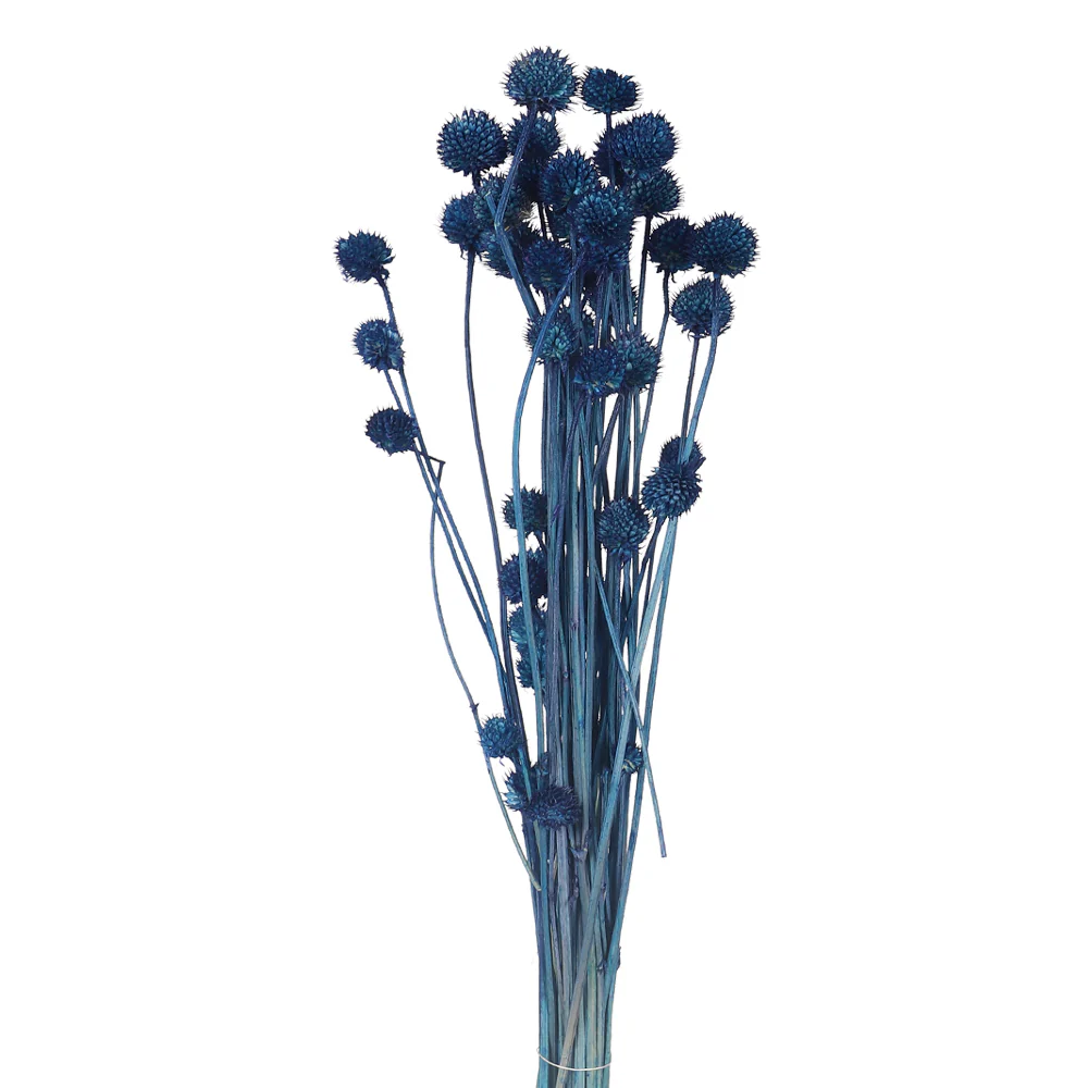 Preserved Dried Bunch of Globe Amaranth - Image 6