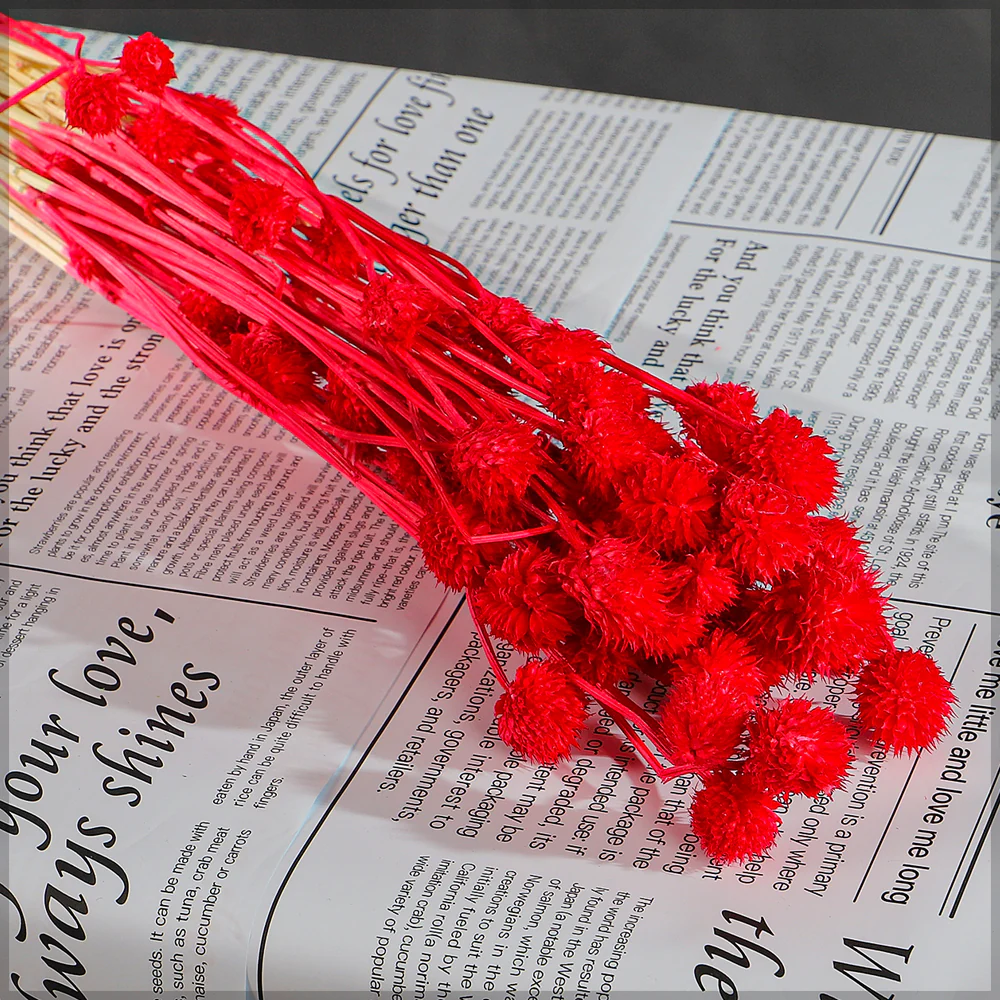 Preserved Dried Bunch of Globe Amaranth - Image 7