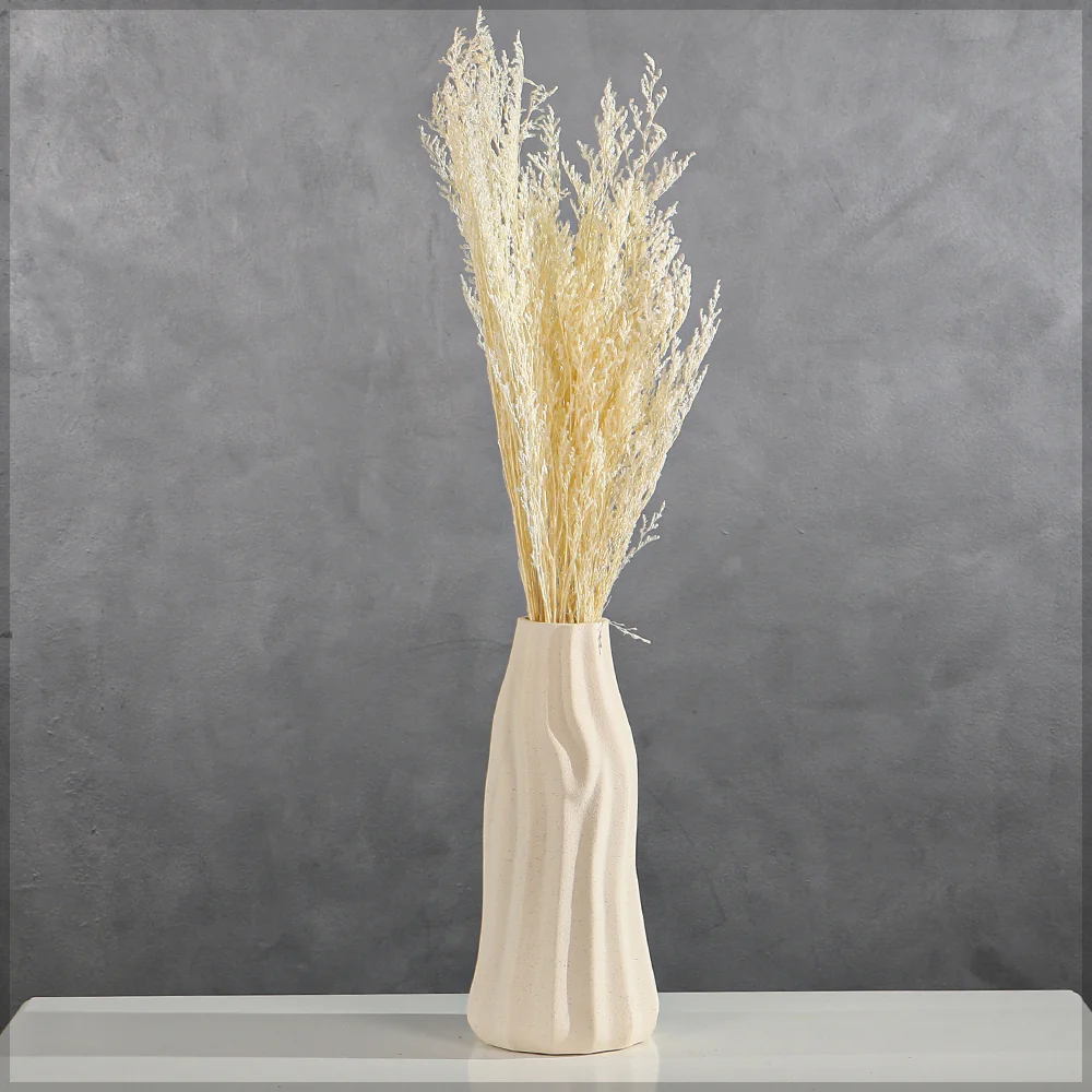Preserved Dried White Caspia Flower(without vase)