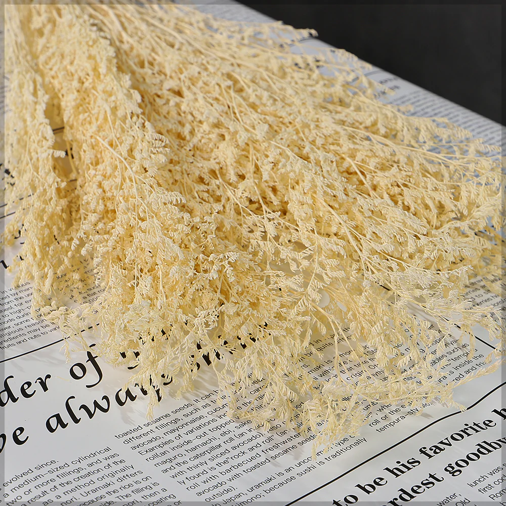 Preserved Dried Caspia Flowers(without vase) - Image 4
