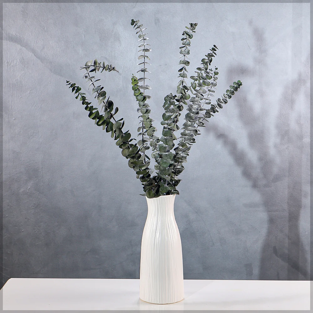 Preserved Dried Eucalyptus Leaves(without vase)